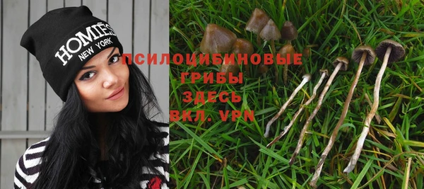 2c-b Белоозёрский