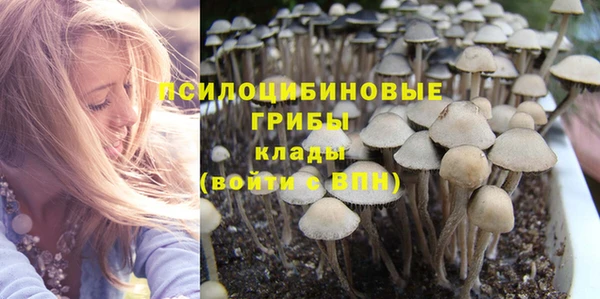 2c-b Белоозёрский