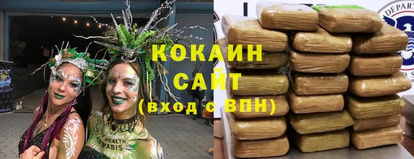 мдпв Белокуриха