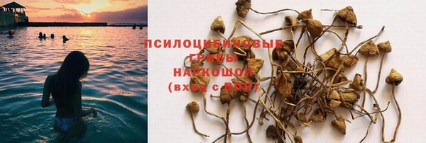 2c-b Белоозёрский